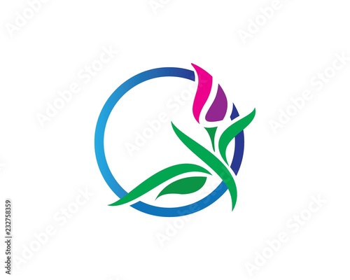 Beauty Vector Lotus flowers design logo