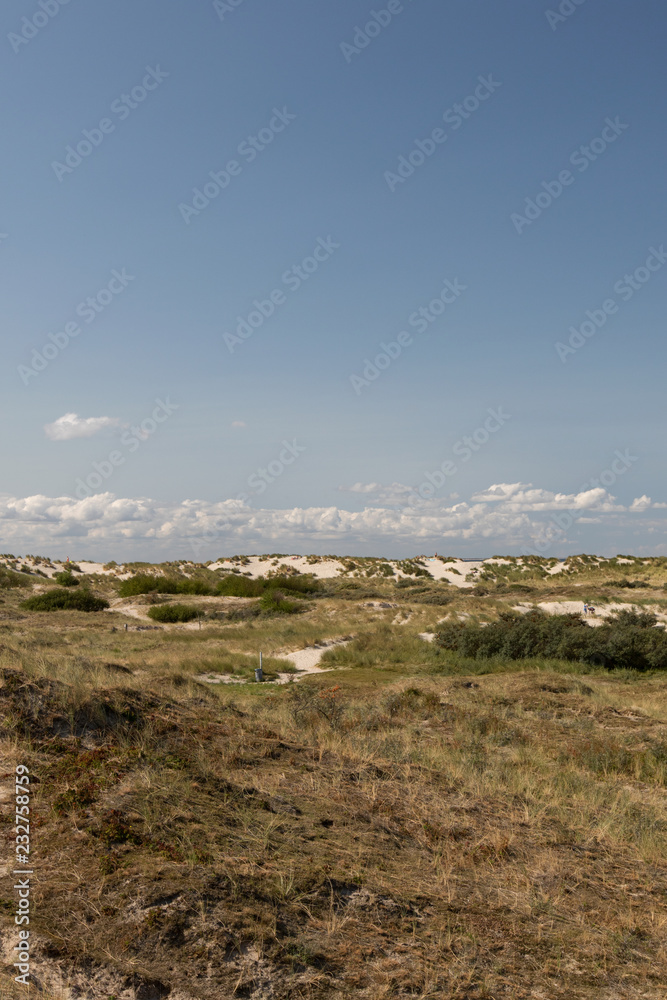 vegetation und landschaft auf den sand dünen auf der nordsee insel borkum fotografiert während einer sightseeing tour auf der insel bei strahlendem sonnenschein an einem spätsommertag