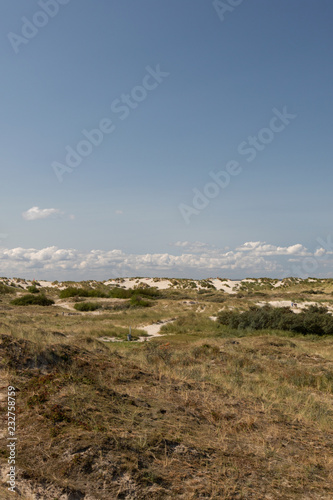 vegetation und landschaft auf den sand dünen auf der nordsee insel borkum fotografiert während einer sightseeing tour auf der insel bei strahlendem sonnenschein an einem spätsommertag © BMFotos
