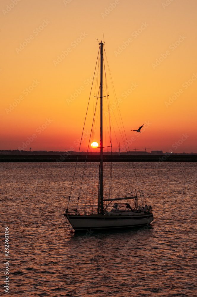 Beautiful sunset with orange sky and a bird flying over a boat silhouette.