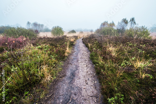 Path between moor