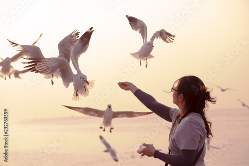 A woman feeding seagulls by her hands. This picture was taken at Banpu Harbor, Samutprakan, Thailand. photo