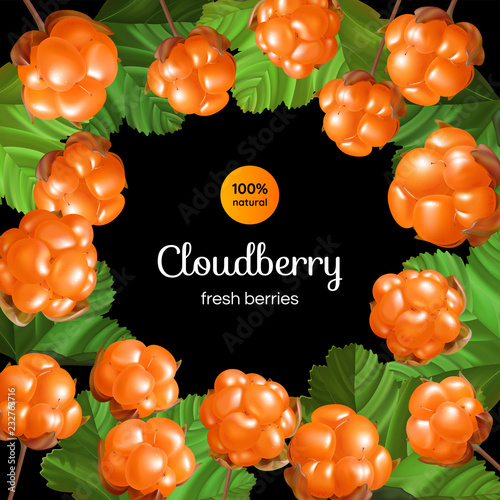 Frame with Cloudberry and text on black background.