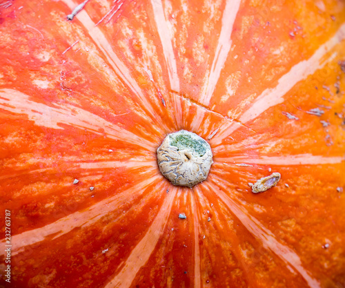 Pumpkin background.
