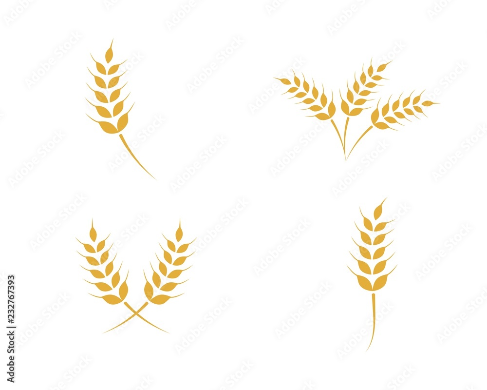 Agriculture wheat Logo Template vector icon design Agriculture wheat Logo Template vector icon design
