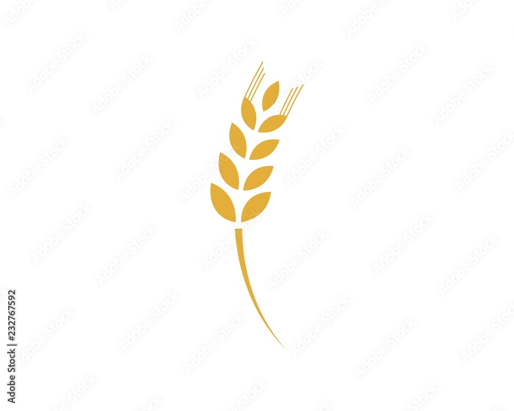Agriculture wheat Logo Template vector icon design Agriculture wheat Logo Template vector icon design