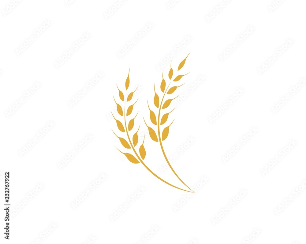 Agriculture wheat Logo Template vector icon design Agriculture wheat Logo Template vector icon design