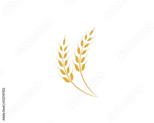 Agriculture wheat Logo Template vector icon design photo