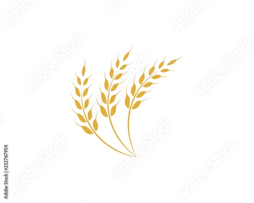 Agriculture wheat Logo Template vector icon design