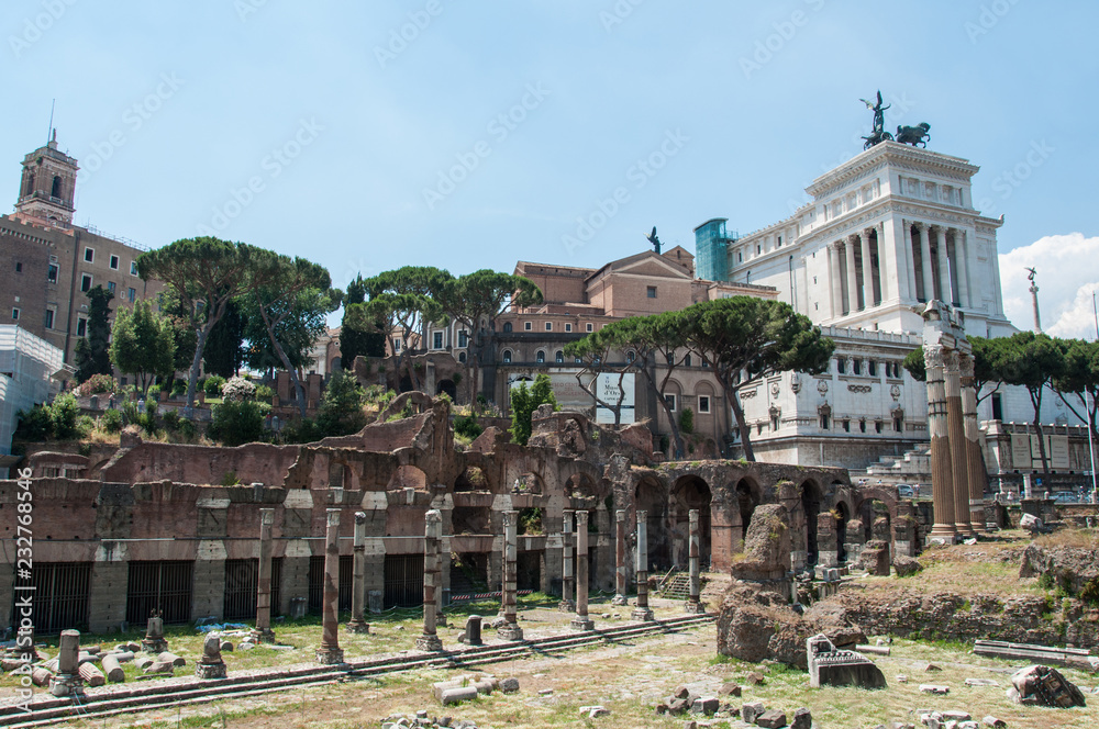 View of the Roman Forum (Italy)