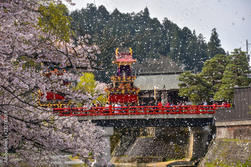 日本の岐阜県高山市　春の高山祭　満開の桜と中橋を渡る豪華な屋台　風で舞う桜の花びら