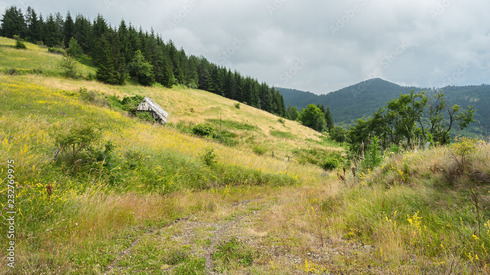 Countryside landscape: field, hills, forest, road