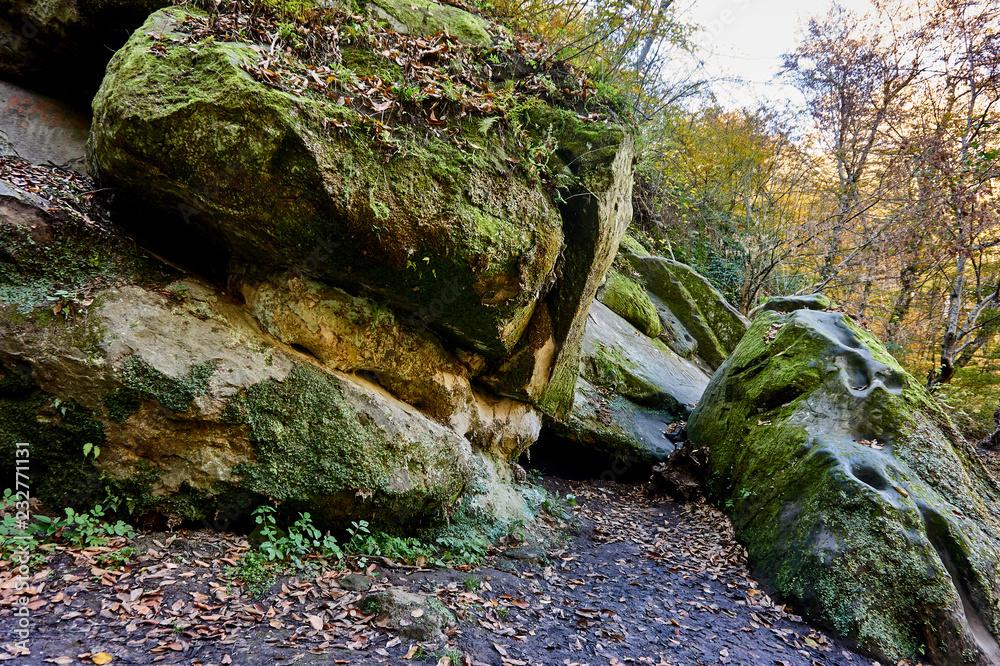 Huge rocks of rocks covered with moss and falling yellow autumn leaves on the mountainside overgrown with trees and shrubs. Fabulous landscape of the magical forest on the Caucasus mountain range.