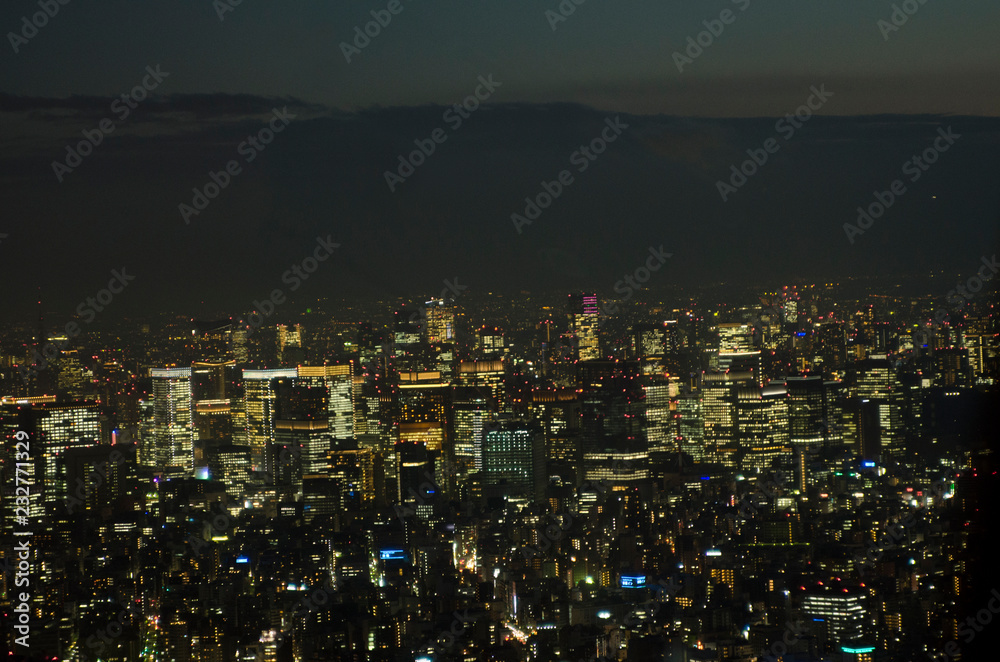 Tokyo Night Skyline