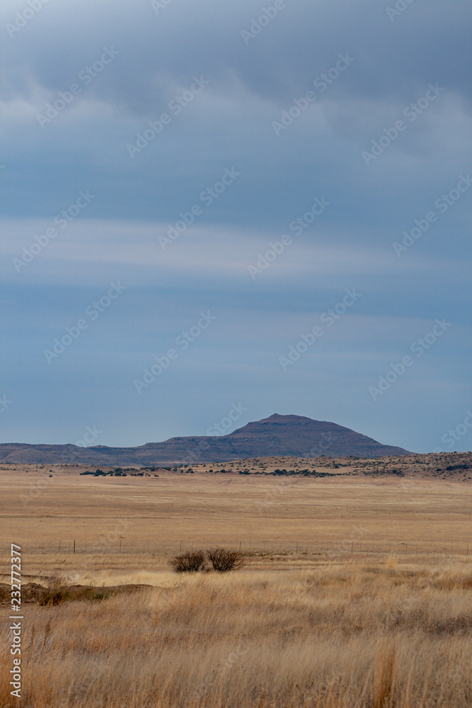 Naklejka premium Free State, South Africa landscape.