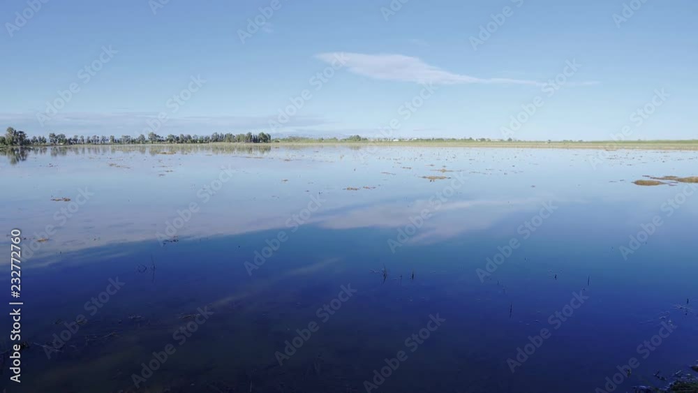 Rice paddy field in Ebro delta, Spain. Blue sky water reflection Rice paddy field in Ebro delta, Spain. Blue sky water reflection