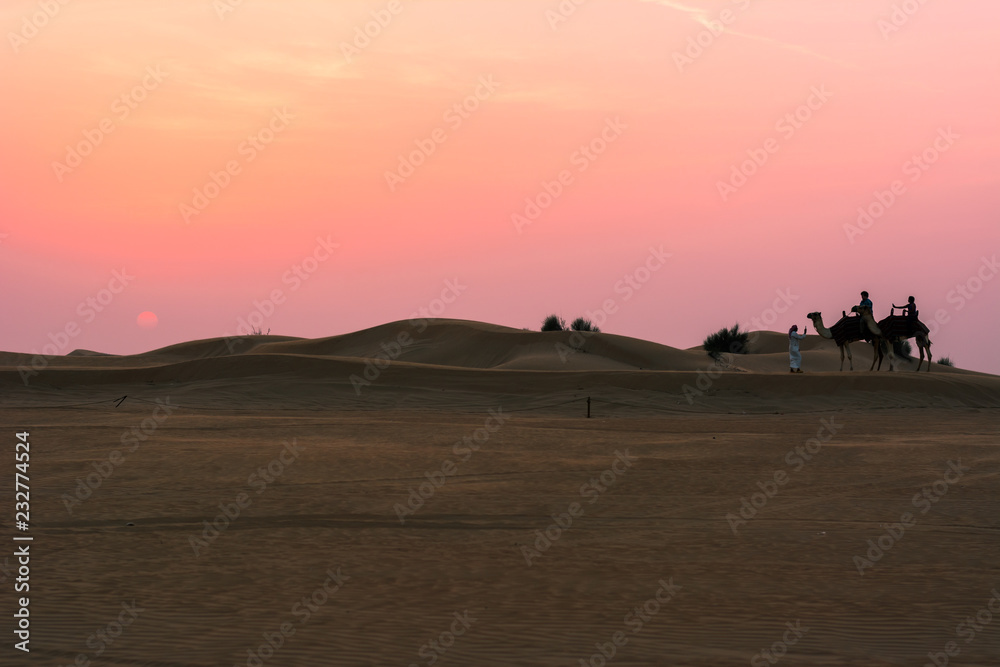 desert summer sunset