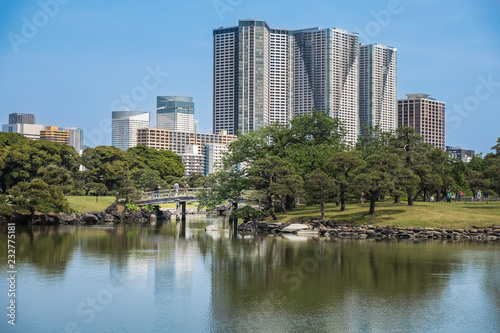 skyscrapers near park