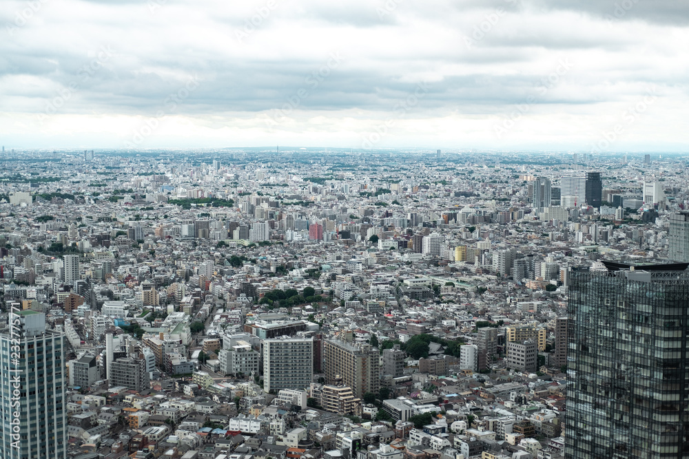 grey Tokyo panorama