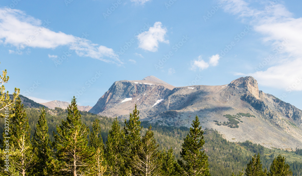 Mount Dana in Yosemite park, panoramic view, California