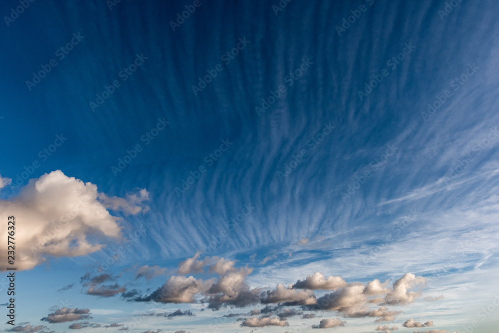 Fototapeta premium Cirrus (horse's tails) clouds against a blue sky