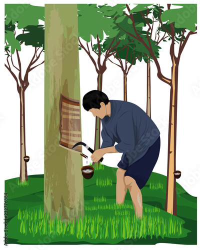 agriculturist scratch rubber tree by knife vector design
