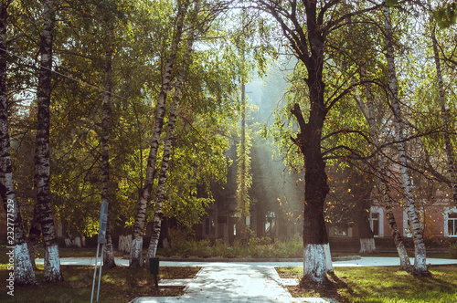 autumn in park