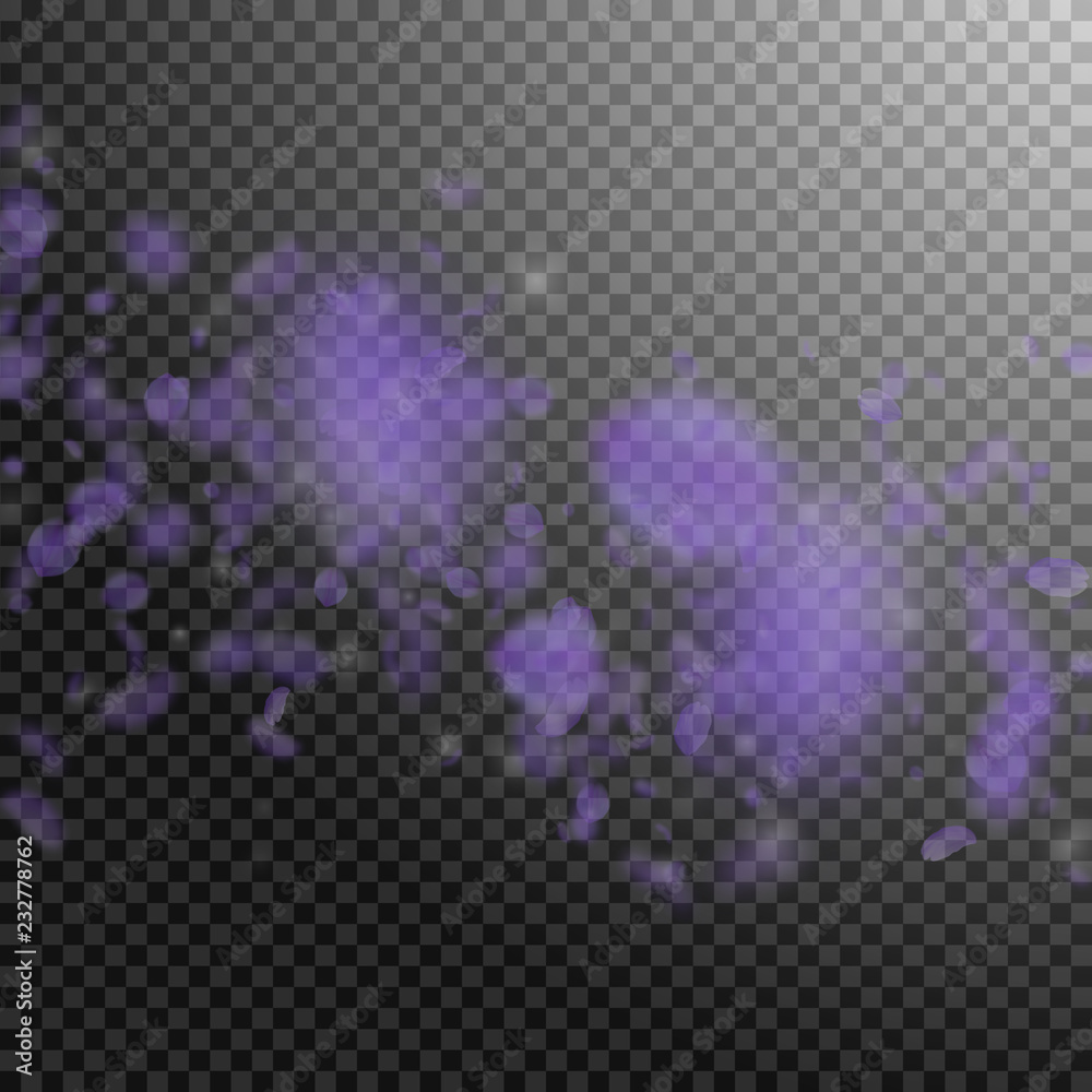 Violet flower petals falling down. Mesmeric romant Violet flower petals falling down. Mesmeric romant