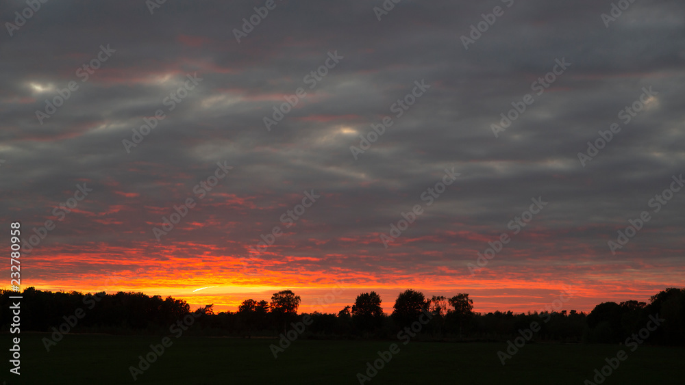 Sunset over Maasduinen National Park. Limburg, Netherlands