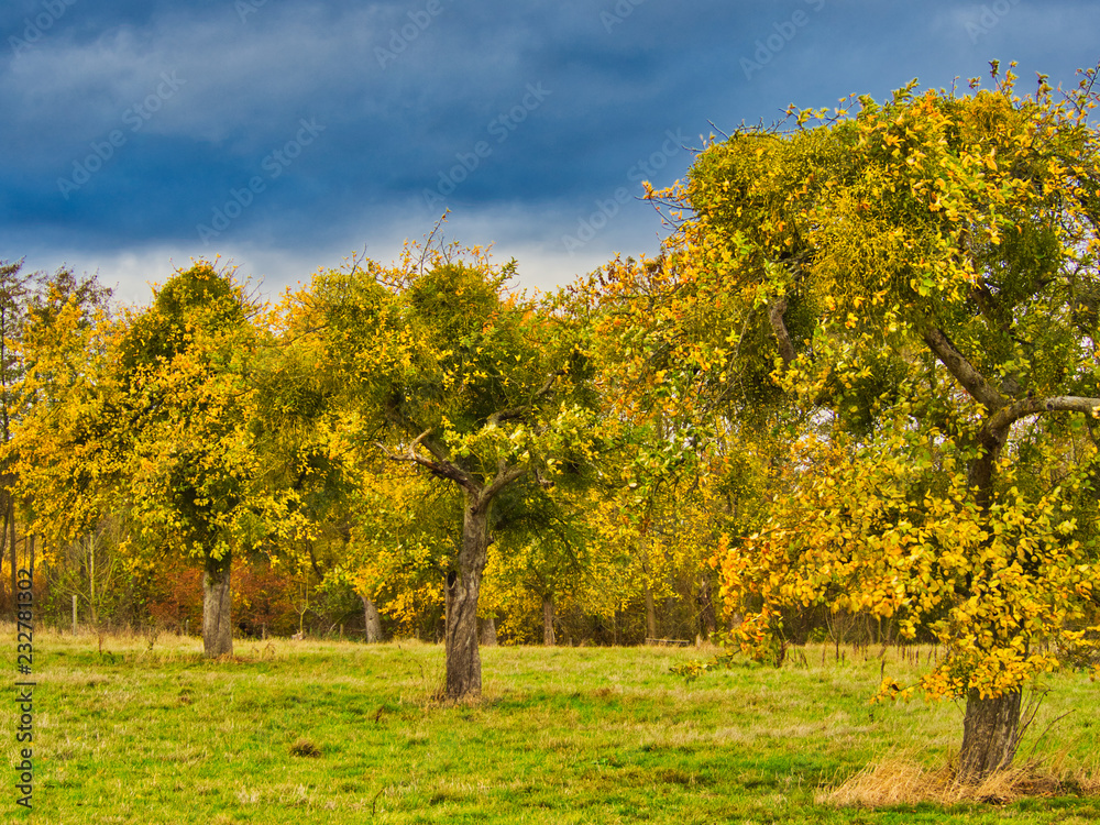Naklejka premium Landschaftsbilder im Herbst 