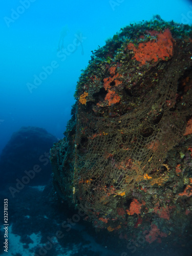 Scuba Diving Malta - Qammiegh Reef