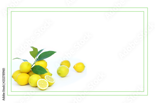 レモンのフレーム
