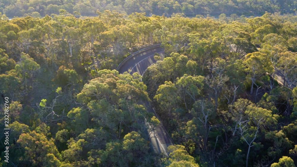 aerial view of forest aerial view of forest
