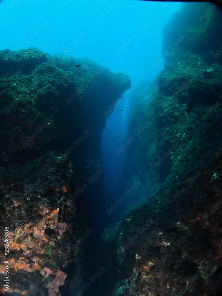 Fototapeta premium Scuba Diving Malta - Ras ir-Raheb point