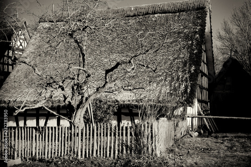 Historic Timberhouse (Museum) photo