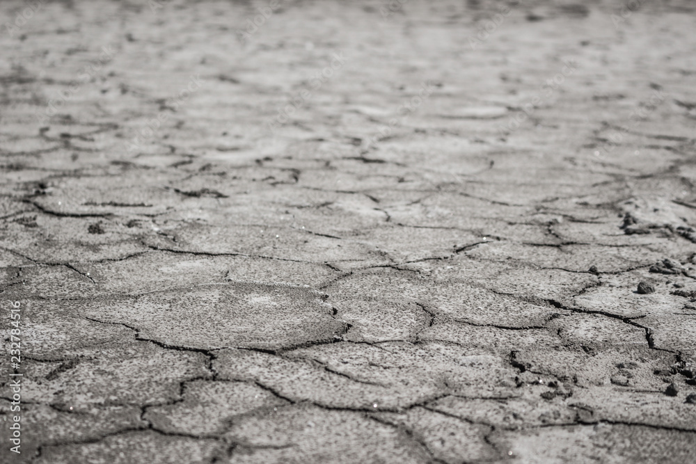 Obraz premium Cracked earth texture 2