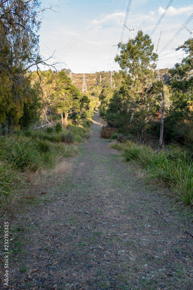 Landscape in Melbourne