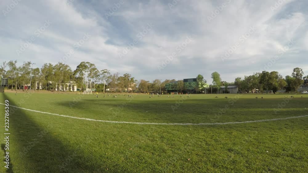 Football Field Football Field