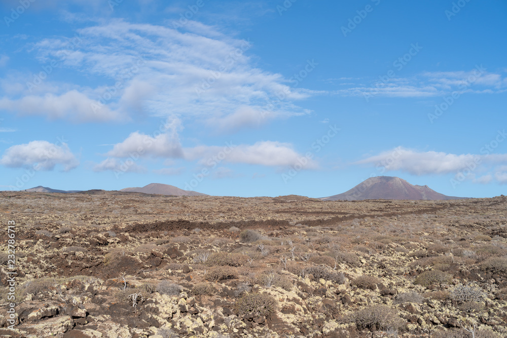 Arid volcanic area, Lanzarote Island, Canary, Spain