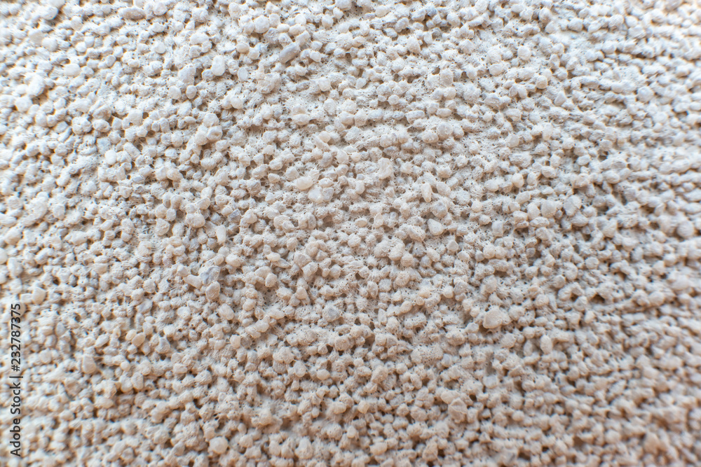 Carpet Carpet