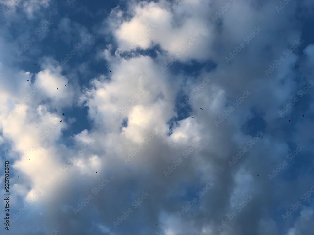 blue sky with gray clouds and flying swallows. Silhouettes of flying birds on the blue sky. blue sky with gray clouds and flying swallows. Silhouettes of flying birds on the blue sky.