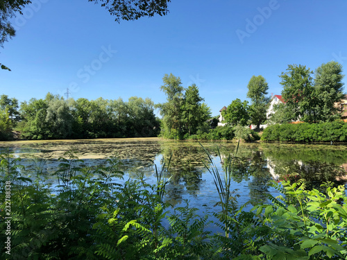 Fototapeta Naklejka Na Ścianę i Meble -  beautiful lake and green trees in the village.