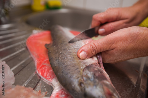 knife cleaning fish