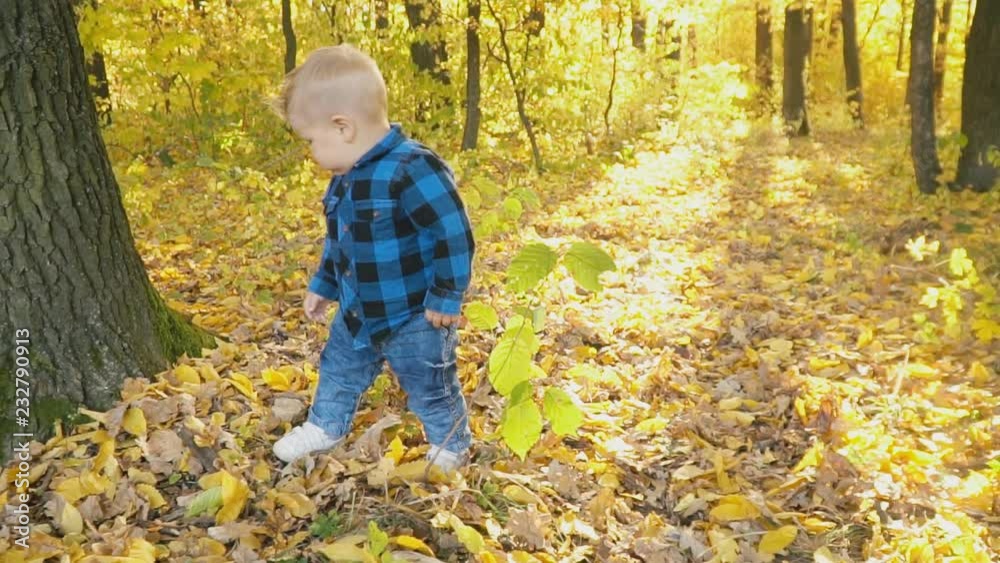 little boy in the autumn forest little boy in the autumn forest
