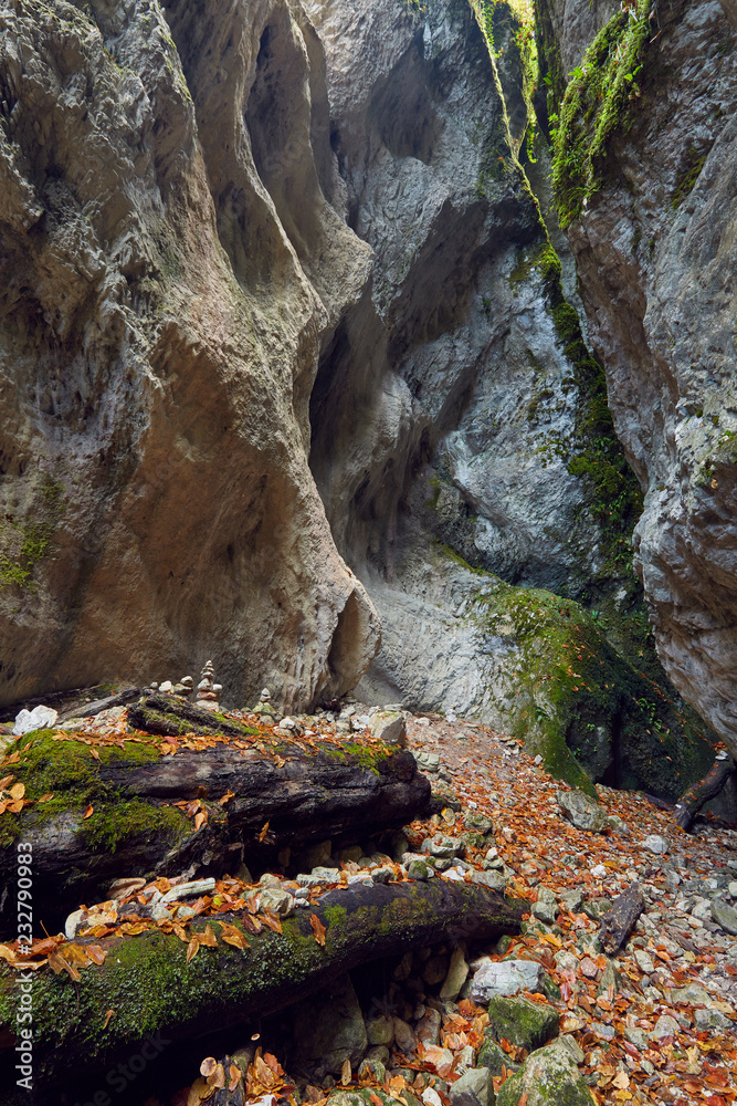 Obraz premium Canyon landscape in the fall