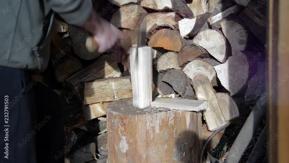 Caucasian man cutting pine fire wood with an axe,  preparing for the cold season.