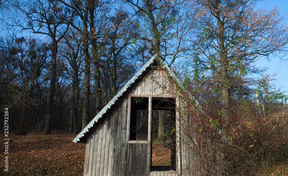 Log house. Old single house. Photo of an unusual house in the forest. Abandoned single small house in foreste. Log house. Old single house. Photo of an unusual house in the forest. Abandoned single small house in foreste.