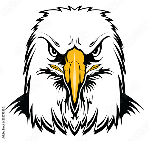 Bald Eagle Head