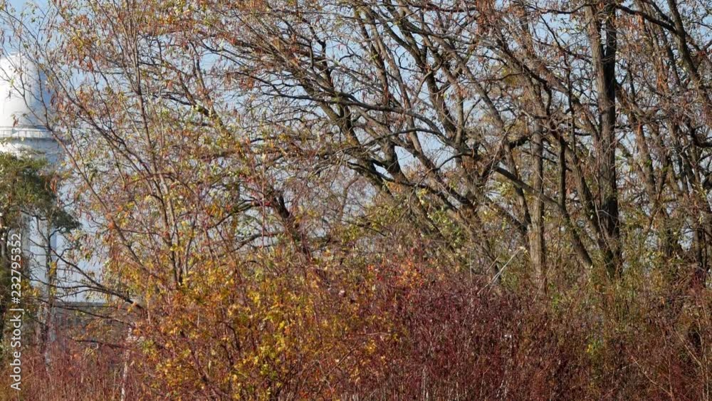 RRP 117 Radar Tower Behind Trees In Public City Park Tempelhofer Feld In Berlin, Germany, Pan Shot RRP 117 Radar Tower Behind Trees In Public City Park Tempelhofer Feld In Berlin, Germany, Pan Shot