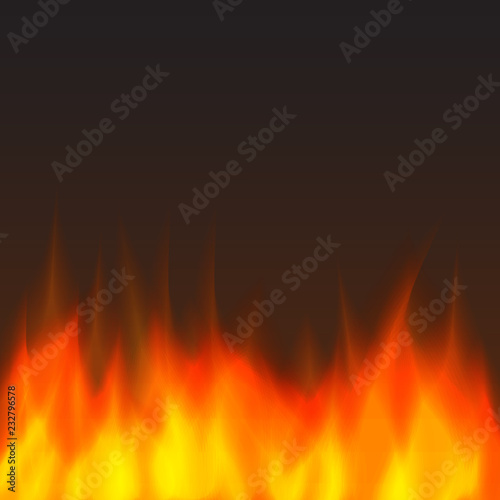 abstract vector fire background